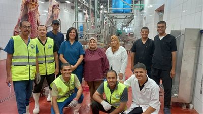 بالأرقام.. أكثر من 3500 أضحية داخل مجازر البحر الأحمر خلال العيد