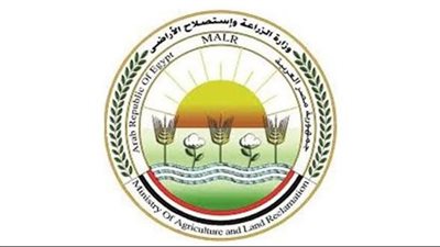 الزراعة: ذبح 7681 أضحية بالمجازر الحكومية خلال ثالث أيام عيد الأضحى