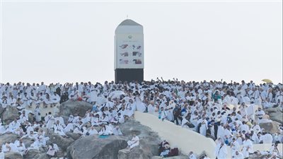 دبلوماسية الحج