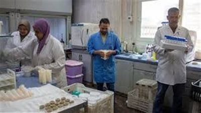 الزراعة: 