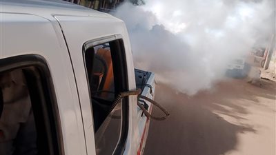 حملات مكثفة لمكافحة البعوض والحشرات فى الغربية