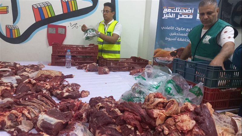 توزيع اللحوم 