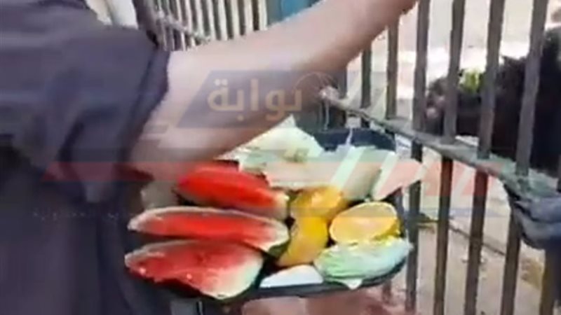 بوابة روز اليوسف