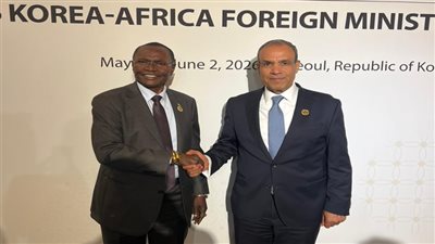 مصر وجنوب السودان تؤكدان أهمية التنسيق المشترك بشأن قضايا حوض النيل