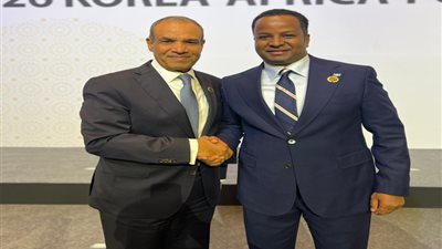وزير الخارجية ونظيره الصومالي يبحثان تعزيز الشراكة الاستراتيجية