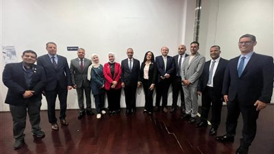وزير الخارجية يلتقي الجالية المصرية في كوريا الجنوبية ويؤكد دعمها