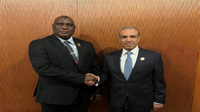 تعزيز العلاقات الثنائية في صدارة مباحثات وزير الخارجية مع نظيره الجامبي
