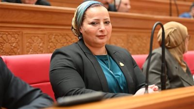 برلمانية: إنشاء فروع للجامعات المصرية بالخارج نقلة نوعية لتعزيز مكانة مصر الدولية