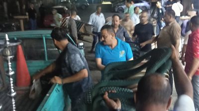 محافظ الجيزة يستبعد مسئول الإشغالات بحي جنوب ويوجه بتكثيف حملات النظافة