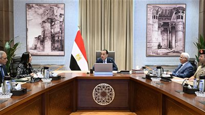 رئيس الوزراء يتابع مستجدات منظومة التأمينات الاجتماعية والمعاشات