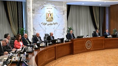 مدبولي يحذر من تداعيات التوترات الإقليمية ويؤكد استمرار دعم المشروعات والخدمات
