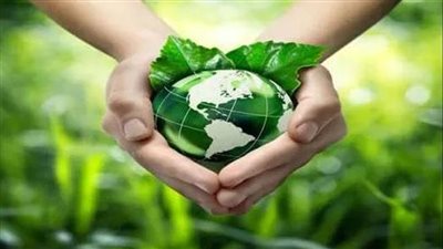 بمناسبة يوم البيئة العالمي.. محافظ الغربية يشدد على ضرورة التحول الأخضر ومواجهة التغيرات المناخية