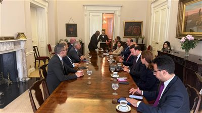 وزير المالية: أداء الاقتصاد المصرى جيد وسنحقق مستهدفاتنا رغم التحديات العالمية
