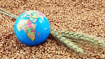 الأغذية العالمي: الصراع في الشرق الأوسط يخلف آثارا عميقة في الأمن الغذائي