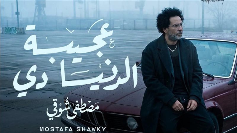 الفنان مصطفى شوقي