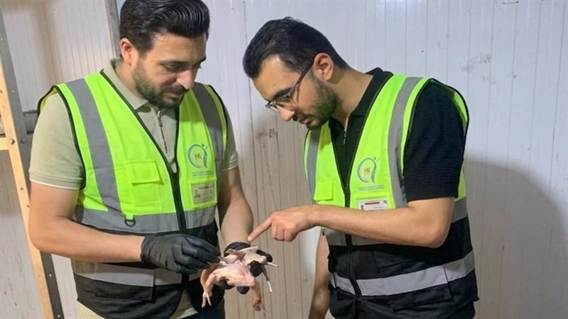 جانب من المضبوطات