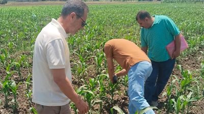 إجراءات استباقية.. 