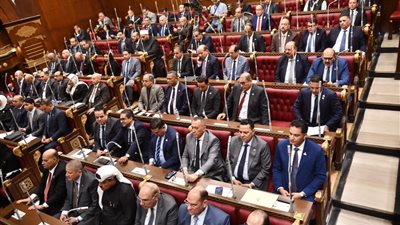 تفاصيل توصيات مجلس الشيوخ حول خطة التنمية الاقتصادية والاجتماعية 