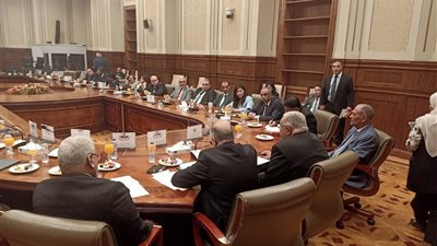 تفاصيل اجتماع لجنة التضامن بمجلس الشيوخ مع 