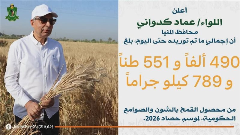 توريد القمح بالمنيا