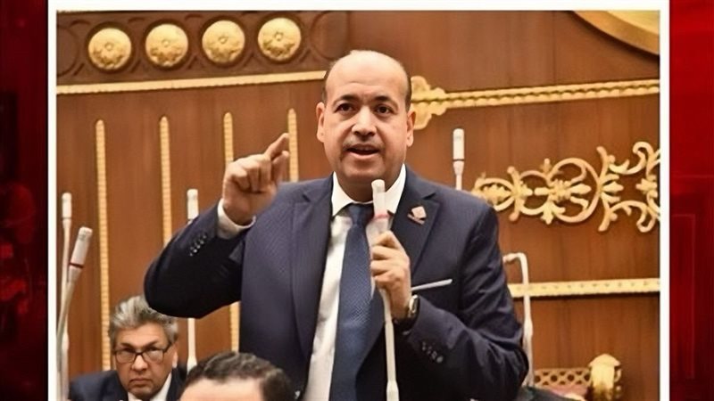 النائب أحمد سيد أحمد
