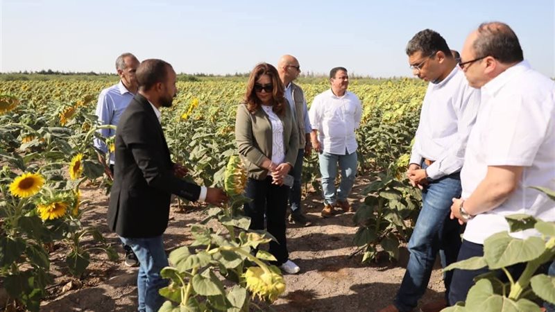 الوزيرة والمسؤولين يتفقدون زراعات الجوجوبا ودوار الشمس
