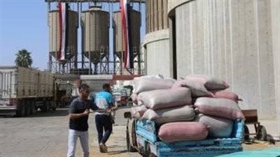 استلام  318  ألف طن من الأقماح المحلية بصوامع وشون بني سويف منذ بداية الموسم