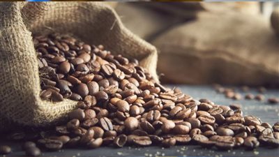 تراجع عائدات صادرات البن في أوغندا بنسبة 10% خلال أبريل الماضي بضغط من أسعار 
