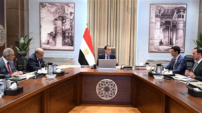 رئيس الوزراء يكلف بعرض الصورة النهائية لمبادرة تشجيع تركيب ألواح الطاقة الشمسية 