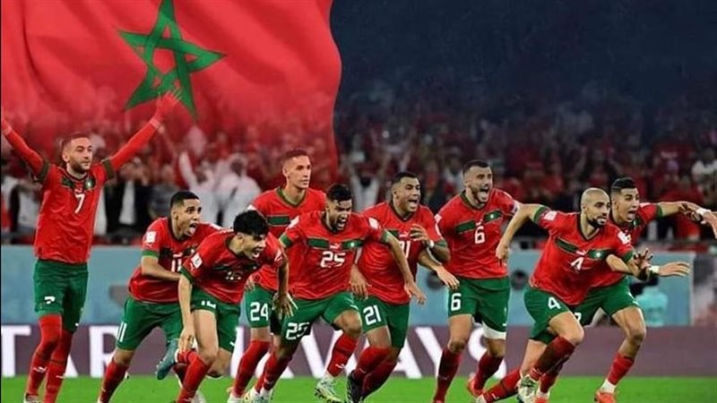 أسود الاطلس