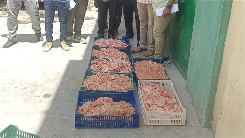 حملات بيطرية مكثفة