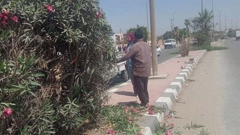 حملات نظافة مستمرة