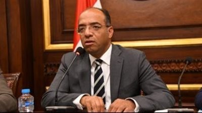 برلماني: توقيع اتفاقيات بين مصر والكونغو تعزز فرص الاستثمار وتفتح آفاقًا جديدة للتعاون