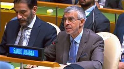 مندوب السعودية لدى الأمم المتحدة: القضية الفلسطينية ستظل القضية المركزية للعالم العربي