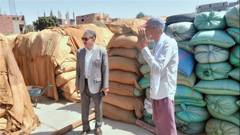 توريد القمح بأسيوط