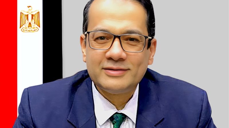 ناصر حسن