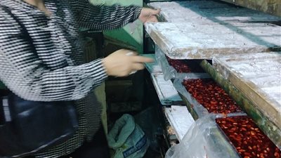 ضبط مصنع حلويات غير مرخص ومخالف للاشتراطات الصحية في الفيوم 