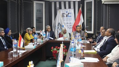 مجلس الشباب المصري: ندعو مراعاة حقوق الأشخاص ذوي الإعاقة في مشروع قانون الأحوال الشخصية 