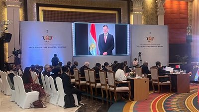 وزير الزراعة: ندعم بناء نظم غذائية مستدامة قادرة على الصمود ومرنة مناخيًا