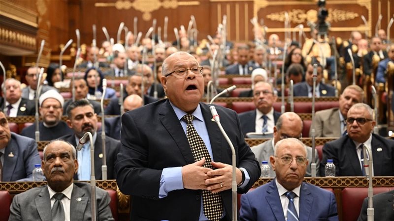النائب ناجى الشهابي