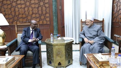 الإمام الأكبر يستقبل سفير جيبوتي بالقاهرة ويؤكد استعداد الأزهر لتعزيز الدعم العلمي والدعوي لأبناء جيبوتي