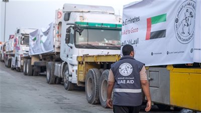 عبور 42 شاحنة مساعدات إماراتية إلى غزة تحمل 544 طنًا من المواد الإغاثية