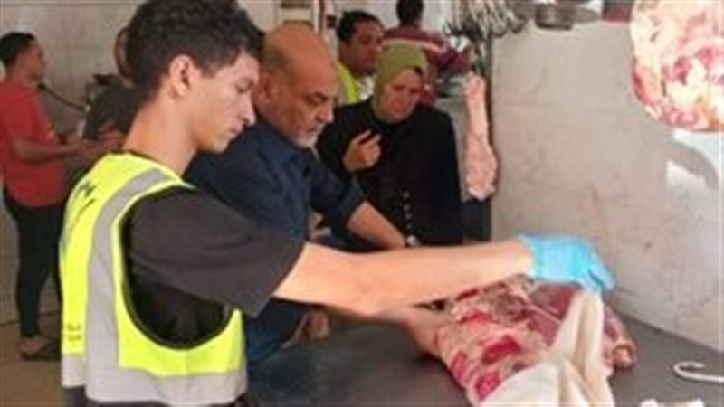 فحص اللحوم