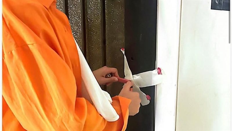 حملة رقابية 
