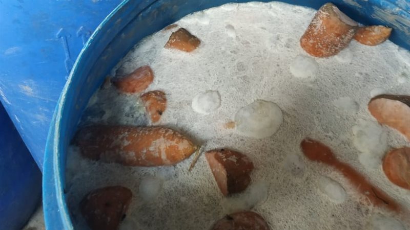 جانب من المضبوطات