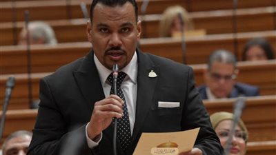 النائب أحمد العجوز يطالب الحكومة بمراجعة أسعار الكهرباء والغاز مراعاة للمواطنين 
