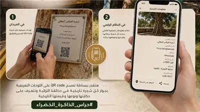 حراس الذاكرة الخضراء.. كل ما تريد معرفته عن 