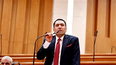 أبو النجا: دعوة الرئيس السيسي لقمة السبع تؤكد الثقة الدولية في مصر