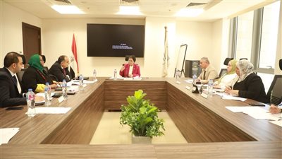 نائبة وزير الصحة تترأس اجتماع اللجنة التنسيقية لتنفيذ الاستراتيجية القومية للسكان