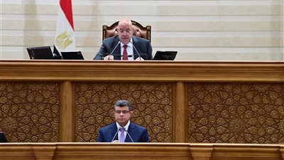 نواب يطالبون بزيادة موازنة التعليم والصحة بالموازنة الجديدة للدولة